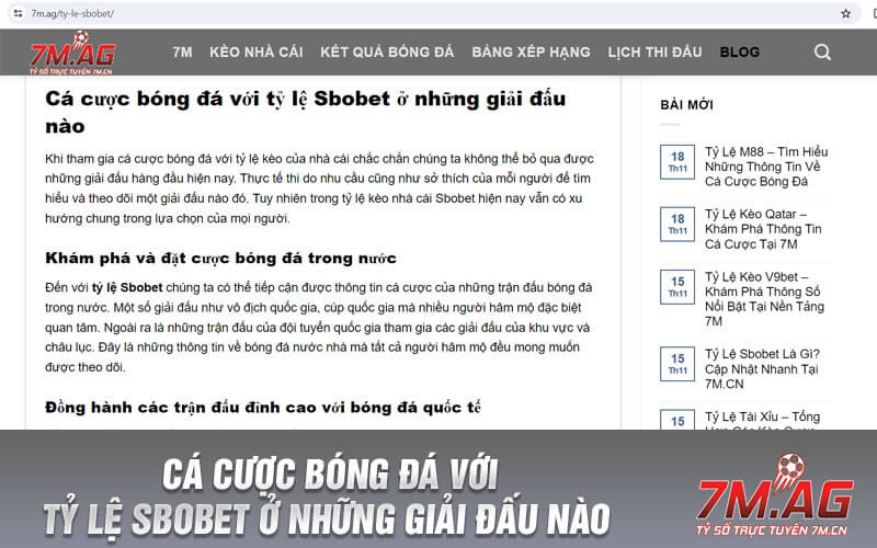 Cá cược bóng đá với tỷ lệ Sbobet ở những giải đấu nào