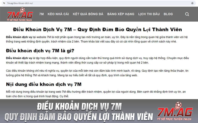 Điều Khoản Dịch Vụ 7M – Quy Định Đảm Bảo Quyền Lợi Thành Viên