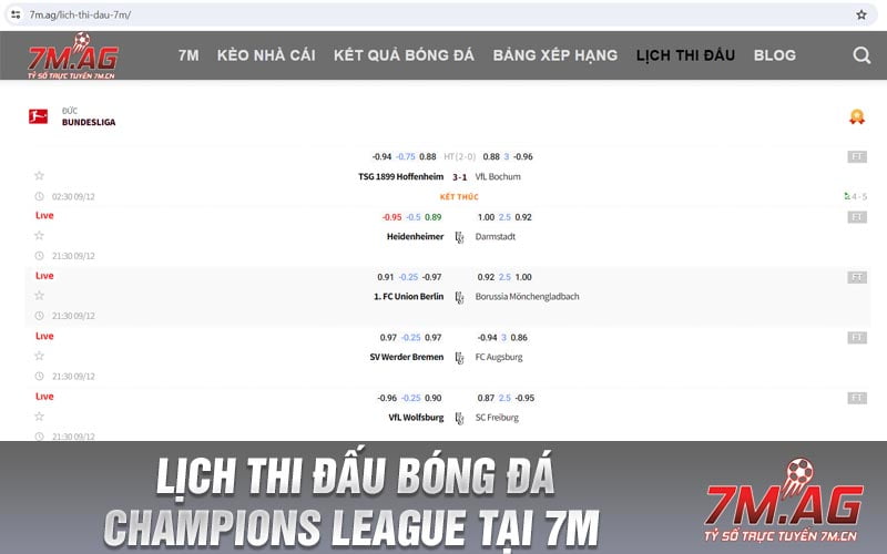 Lịch thi đấu bóng đá Champions League tại 7M