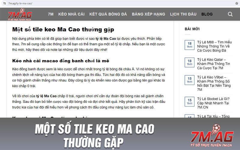 Một số tile keo Ma Cao thường gặp